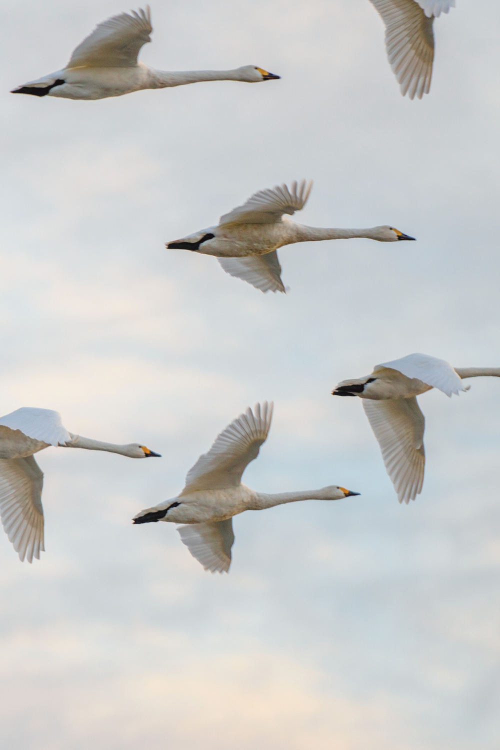 Coaching Caroline Bleijenberg